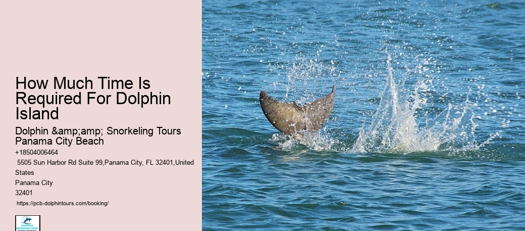 Dolphin Tour Reservations